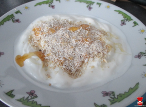Biely jogurt s ovsenými vločkami a medom